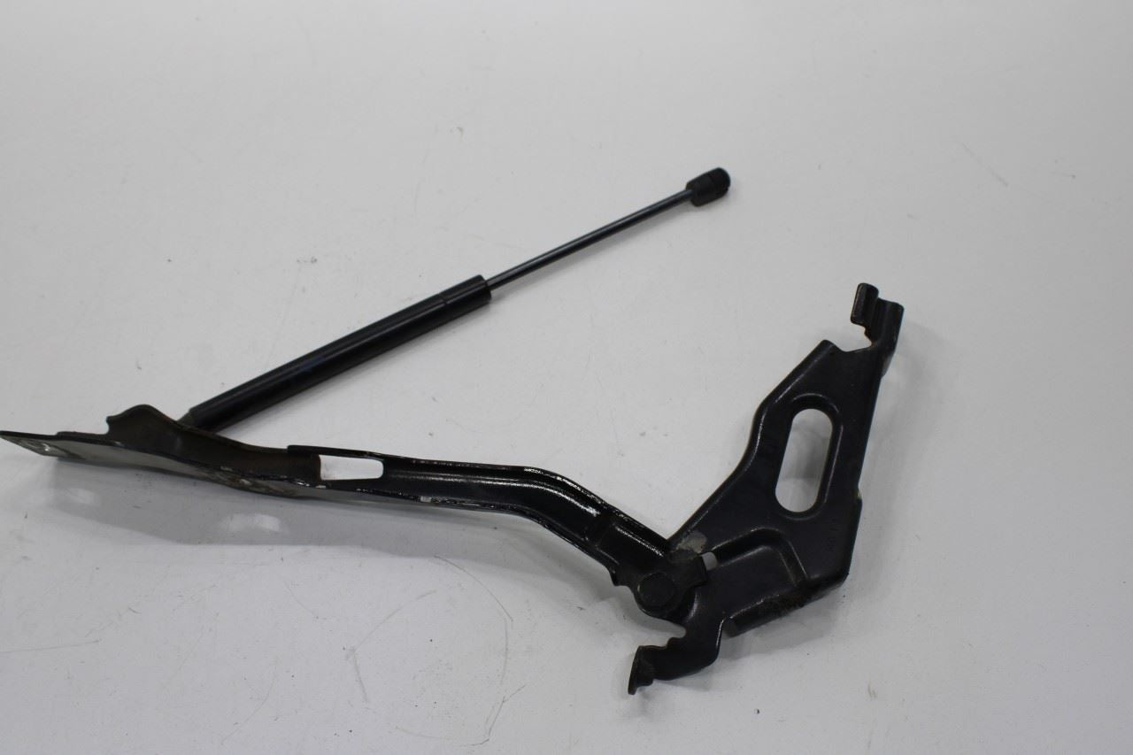 2015-20 Ford F150 Super Cab Lariat Front RH and LH Hood Hinge Set w/ Lift Struts - Alshned Auto Parts