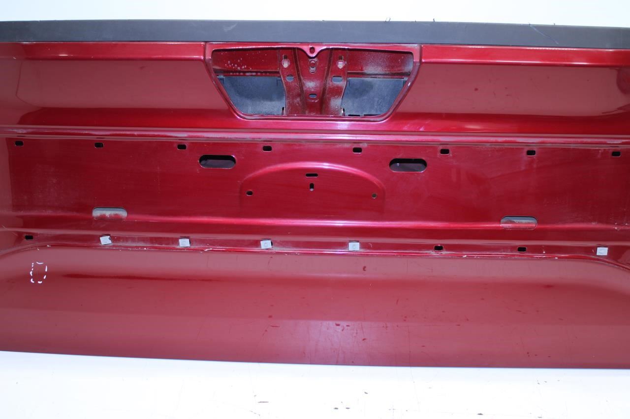 2015-2017 Ford F150 Platinum Tailgate Shell Panel FL3Z-9940700-D OEM *ReaD* - Alshned Auto Parts