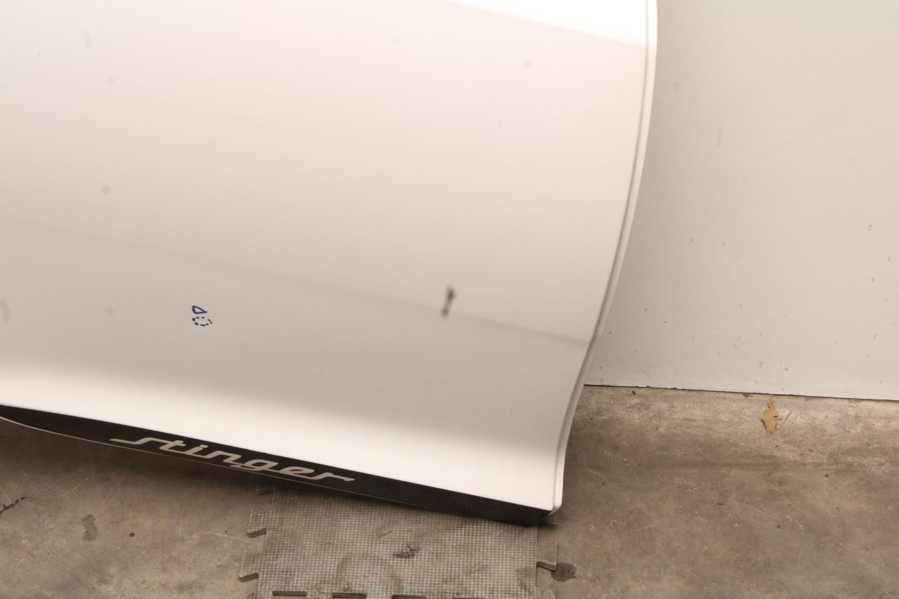 2018-23 Kia Stinger GT2 AWD Rear Right Side Door Shell Panel 77004-J5000 *ReaD* - Alshned Auto Parts