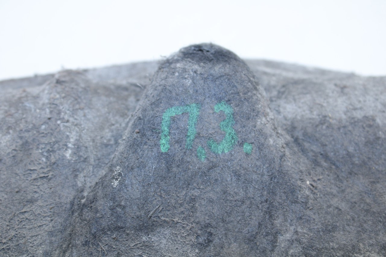 2015-2018 Nissan Murano Platinum Rear Right Side Wheelhouse Liner Splash Shield - Alshned Auto Parts