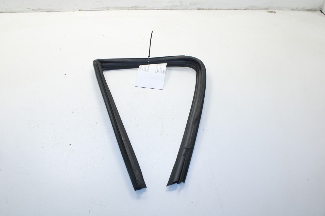 2015-2020 Ford F150 XL Super Cab Rear Left Door Run Channel w/ Belt Weatherstrip - Alshned Auto Parts