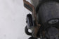 2019-2020 Infiniti QX50 ESSENTIAL 2.0L Fuel Vapor Evaporator Emission Canister - Alshned Auto Parts