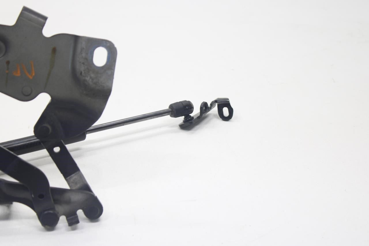 2010-2015 BMW 750i xDrive Front Left and Right Hood Bonnet Hinge 41617291701 OEM - Alshned Auto Parts