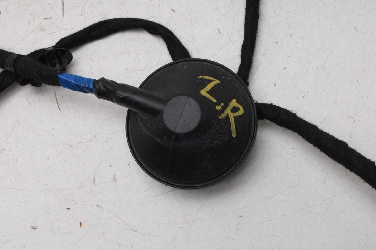 2023-2025 Kia Sportage Hybrid EX Rear Right Door Wire Harness 91630-P1010 OEM - Alshned Auto Parts