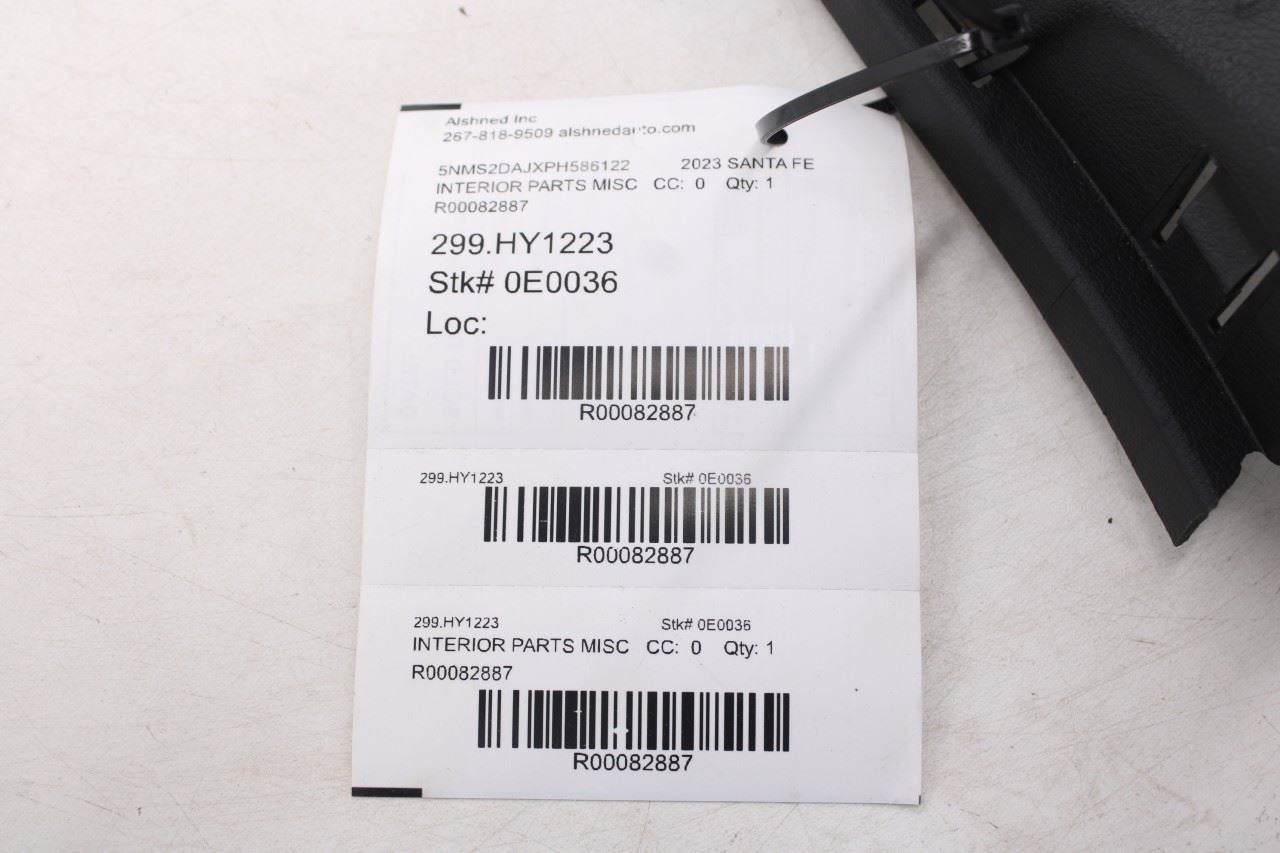 2019-23 Hyundai Santa Fe SEL Rear Trunk Loading Sill Scuff Plate 85770-S2000-NNB9