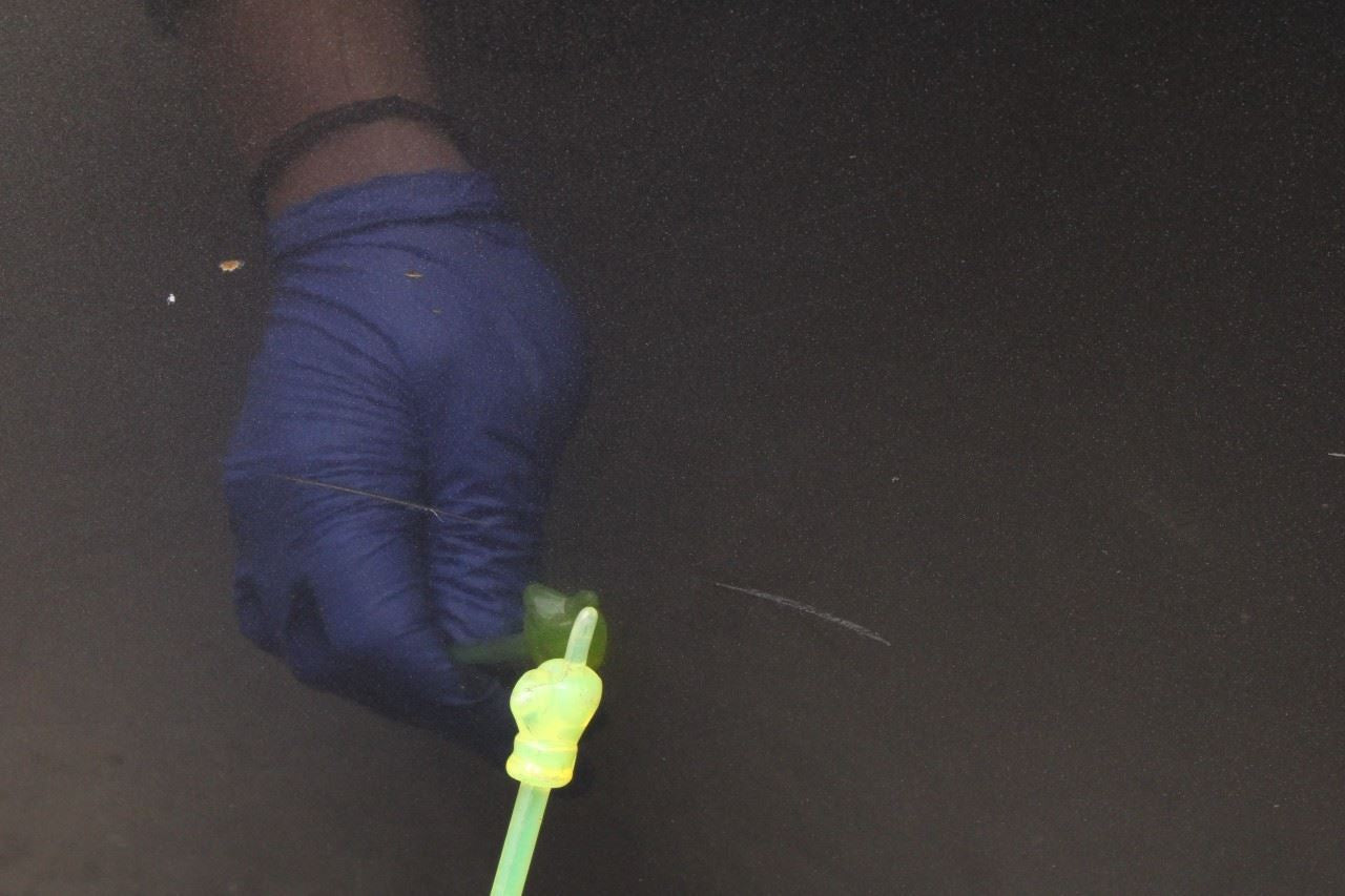 2007-2011 Toyota Camry LE Rear Left Driver Side Door Shell Panel 67004-06071 OEM - Alshned Auto Parts