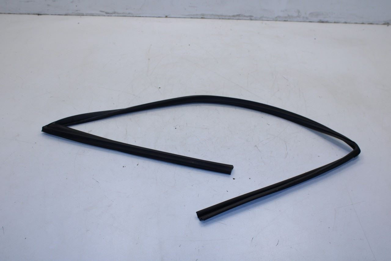2016-20 Hyundai Elantra Front Left Door Run Channel w/ Belt Molding Weatherstrip - Alshned Auto Parts