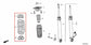 2023-26 Acura Integra A-Spec 1.5L FWD Rear Right and Left Side Coil Spring Pair - Alshned Auto Parts