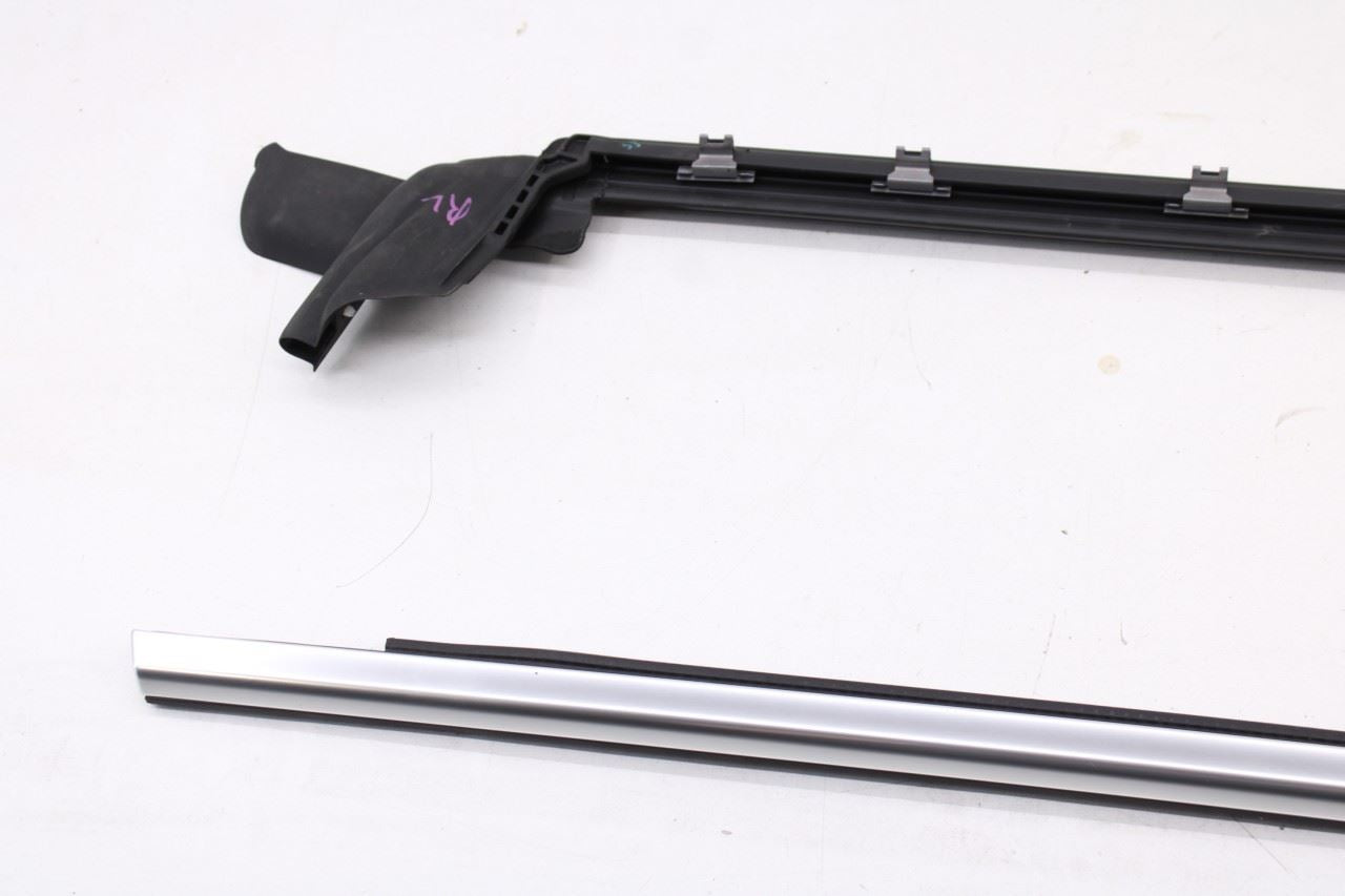 23-25 BMW 430i Gran Coupe xDrive Rear LH Door Outer Molding w Inner Weatherstrip - Alshned Auto Parts