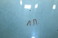 2009-2015 Jaguar XF Portfolio Front Left Driver Side Door Window Glass C2Z28397 - Alshned Auto Parts