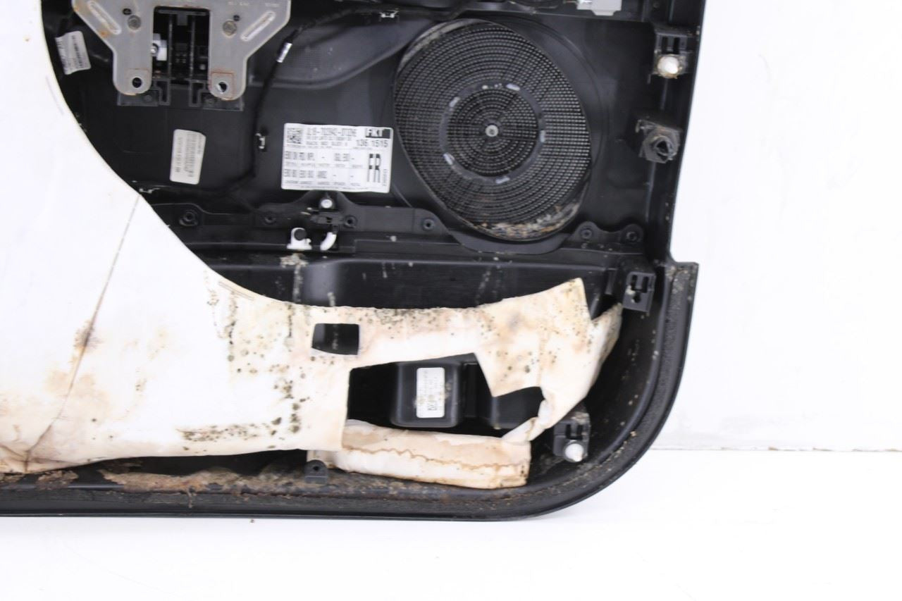 18-21 Ford Expedition Limited Front Right Door Trim Panel JL1B-7823942-DT *ReaD* - Alshned Auto Parts