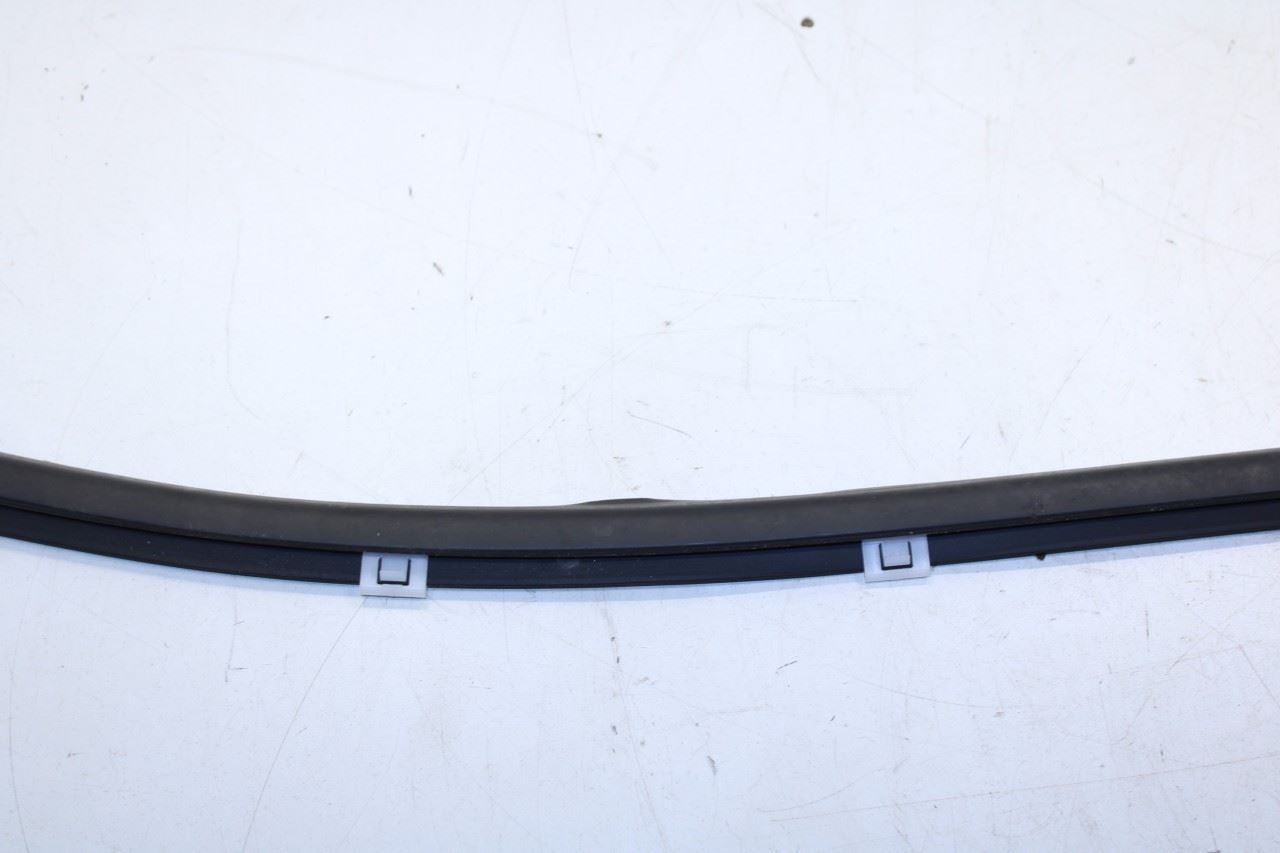 2016-20 Hyundai Elantra Rear Right Door Run Channel w/ Belt Molding Weatherstrip - Alshned Auto Parts