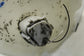 2017-2022 Infiniti Q60 Luxe 3.0L Fuel Tank Sender Unit Level Sensor 25060-4HK0A - Alshned Auto Parts