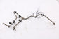 12-15 Audi A7 Premium 3.0L Fuel Rail High Pressure Fuel Line Pipe 06E-127-501-AA2