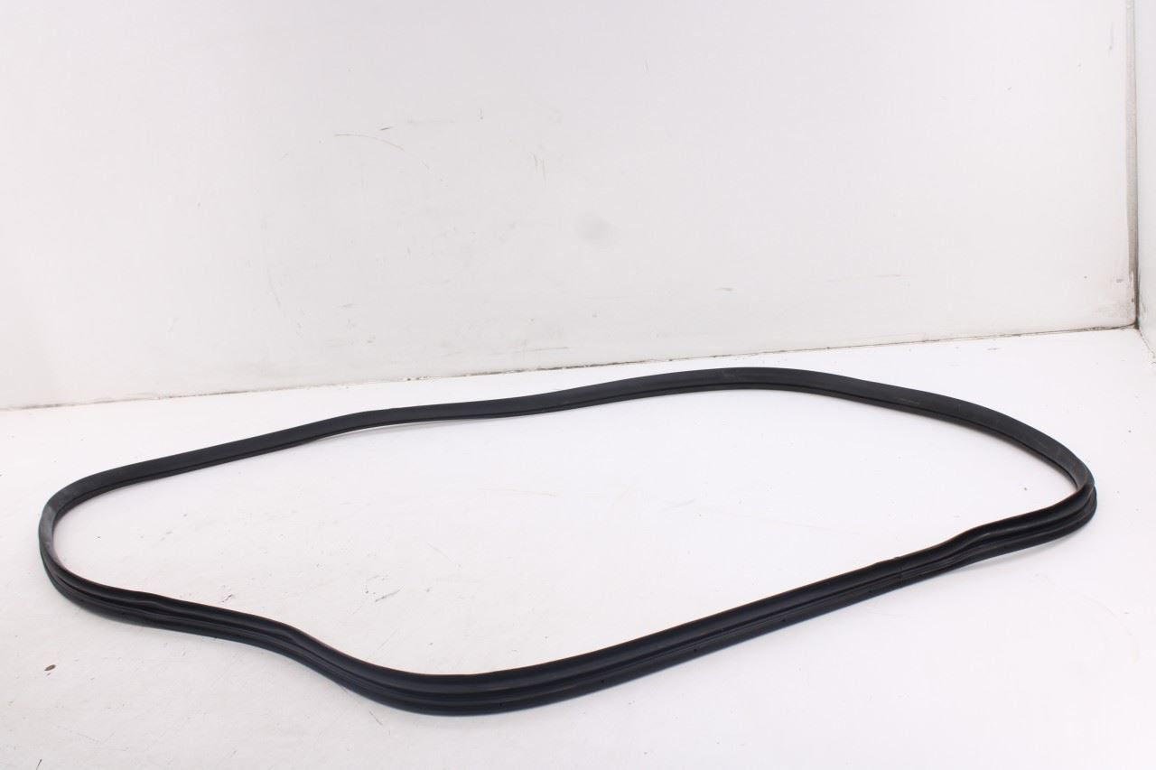2020-2026 Hyundai Palisade Limited AWD Front Right Door Weatherstrip On Body9