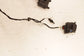 22-24 Ford Expedition MAX XLT HVAC Blend Door Actuator Set of 4 w/ Wire Harness - Alshned Auto Parts