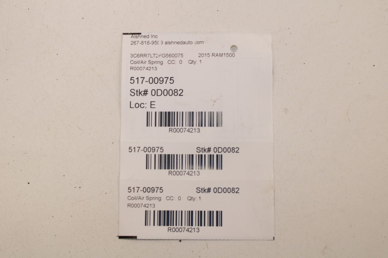 2013-20 Ram 1500 Big Horn Crew Cab 4WD Rear Suspension RH and LH Coil Spring Set - Alshned Auto Parts