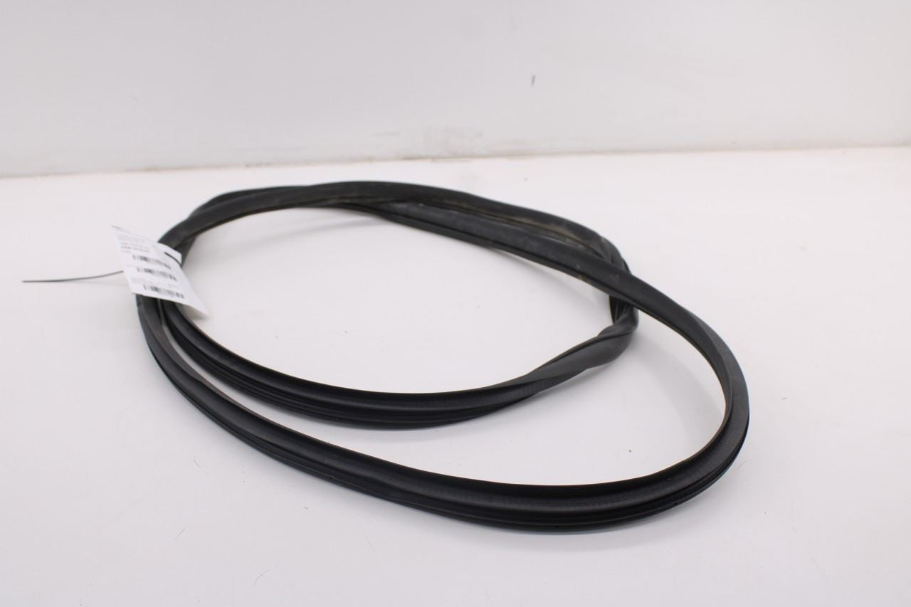 2019-2026 Ram 1500 Big Horn Front Left Side Door Weatherstrip On Body 68402032AA4