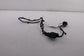 21-24 Ram 1500 Big Horn Rear Bumper Fascia Module Wire Wiring Harness 68488369AA - Alshned Auto Parts
