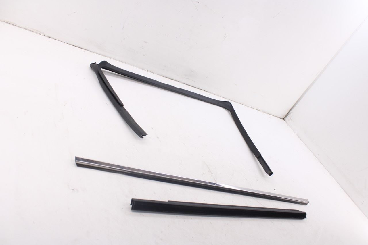 2010-20 Dodge Grand Caravan SXT Rear Left Door Window Run Channel Trim Belt Set9