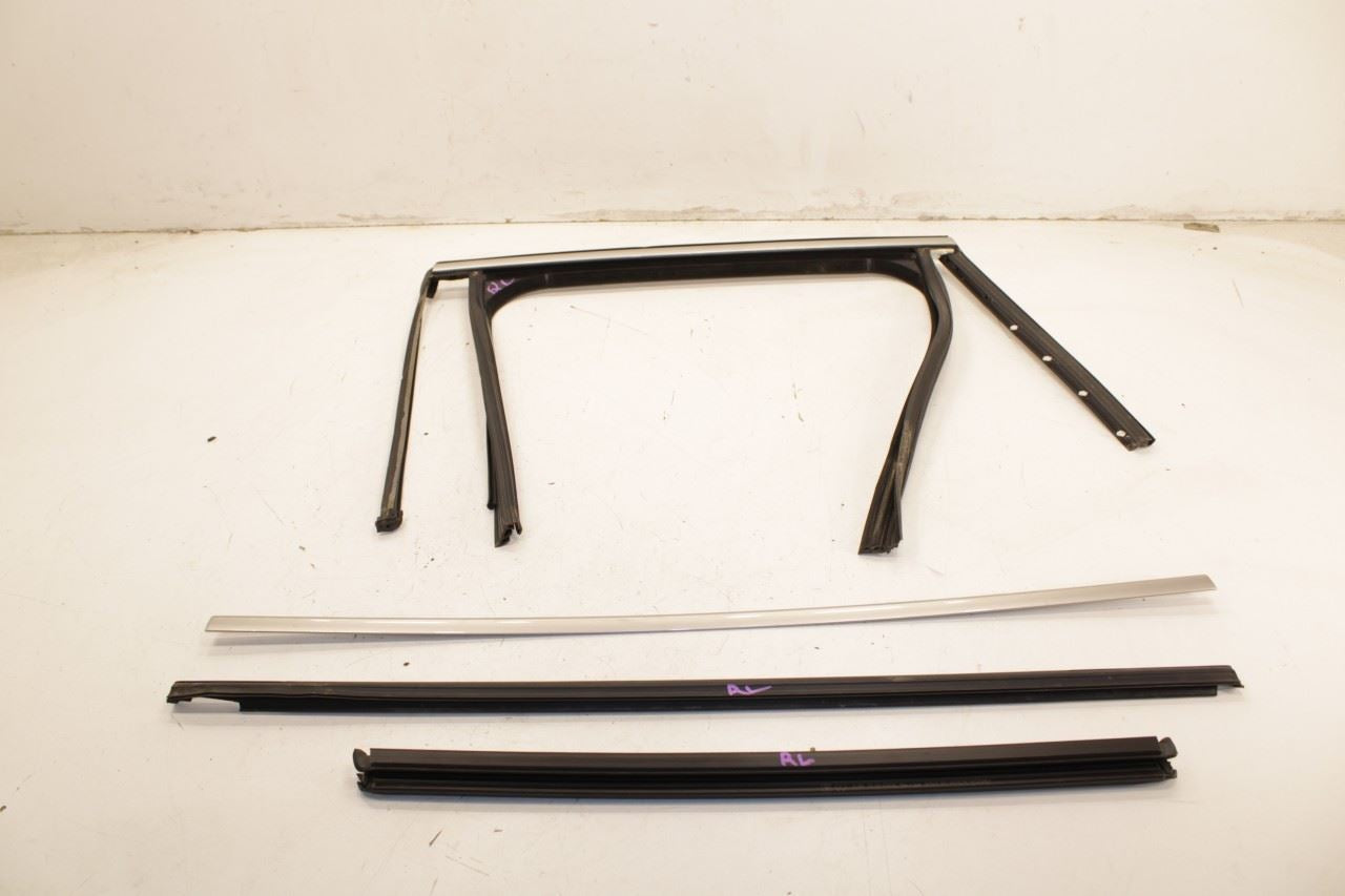 11-18 Porsche Cayenne Platinum RR LH Door Run Channel w Molding and Weatherstips - Alshned Auto Parts