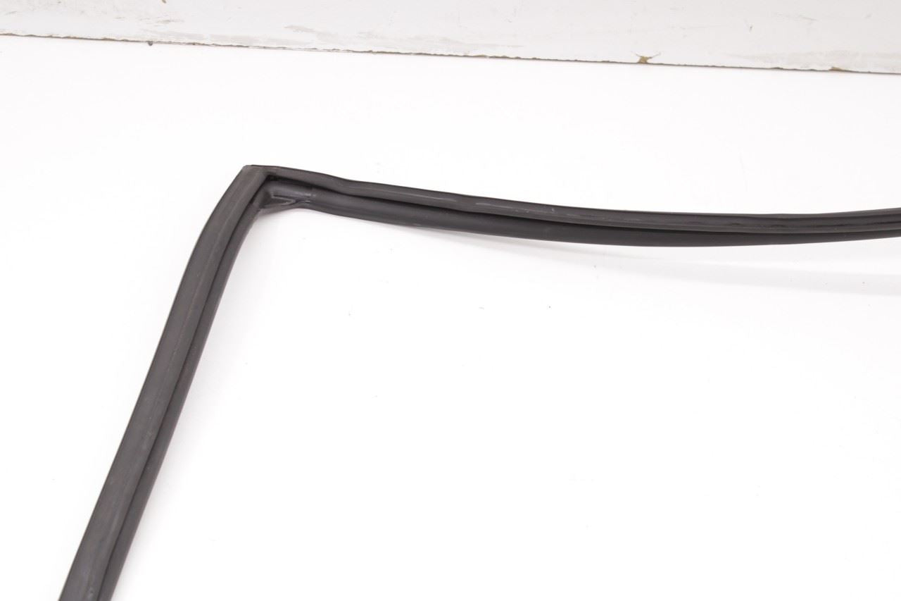 2013-2019 Nissan Sentra SL Rear Left Door Run Channel with Belt Outer Molding - Alshned Auto Parts