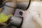 2022-2025 Hyundai Tucson SEL Brake Booster w/ Master Cylinder w/ Reservoir *ReaD - Alshned Auto Parts