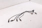 2018-2023 Volkswagen Atlas SE 3.6L Oxygen Sensor Set of 4 03H906262AP OEM1