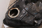 2006-2015 Lexus IS250 2.5L Fuel Gas Tank 17.1 US Gallons 77001-53071 OEM - Alshned Auto Parts