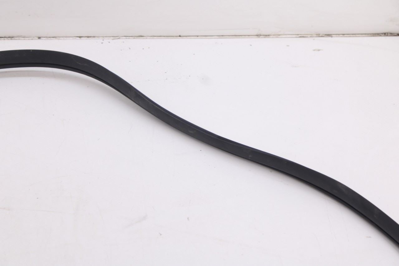 2020-2026 Hyundai Palisade Limited AWD Front Left Side Door Weatherstrip On Body5