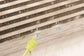 21-25 Acura RDX SH-AWD 2L Engine Intercooler 19710-6S8-A01 *ReaD - Alshned Auto Parts