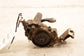 15-16 Jeep Wrangler Unlimited 3.6L Engine Oil Pump w/ Oil Pickup Tube 68252670AA - Alshned Auto Parts