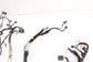 21-24 Honda Odyssey Touring 3.5L Right Side Engine Wire Harness w Fuse Box *ReaD - Alshned Auto Parts