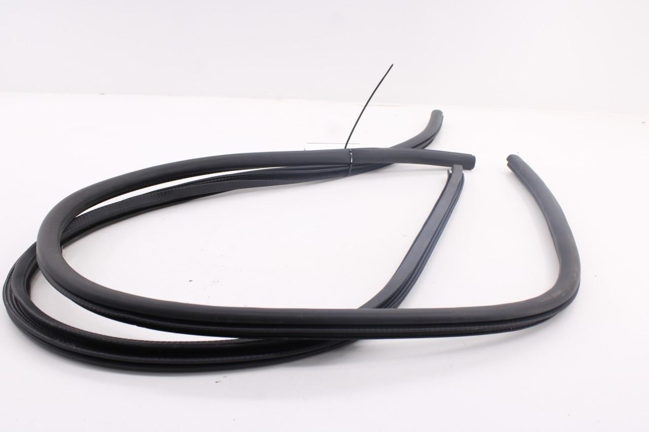 15-26 Ford Mustang GT Right Left Side Door Lower Weather-strip Seal On Body Set - Alshned Auto Parts