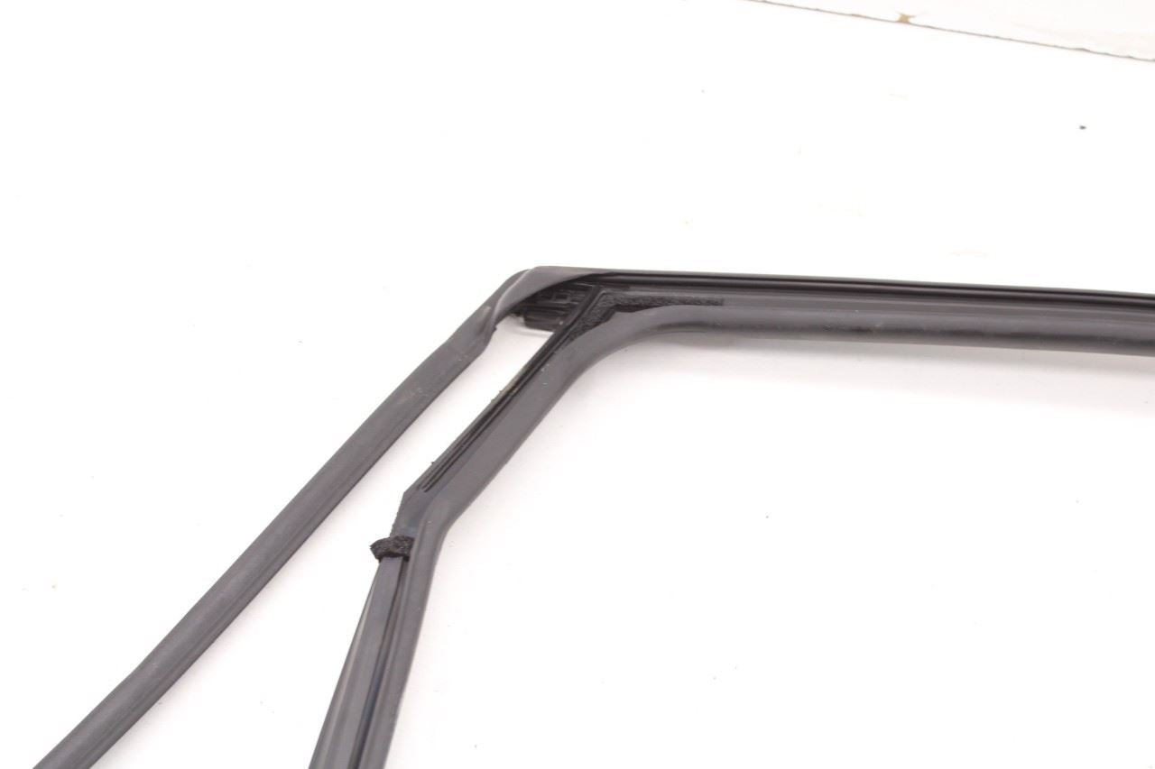 19-20 Hyundai Santa Fe SEL Rear Left Door Run Channel w/ Belt Inner Weatherstrip - Alshned Auto Parts