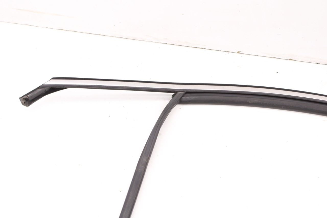 19-23 Hyundai Santa Fe SEL Front Left Door Run Channel w/ Belt Weatherstrip Set - Alshned Auto Parts