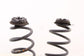 2021-2025 Infiniti QX50 LUXE Rear Right and Left Side Suspension Coil Spring Set - Alshned Auto Parts