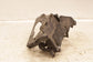 1997-04 Chevrolet Corvette Front Passenger RH Side Headlight Pivot Mount Bracket - Alshned Auto Parts
