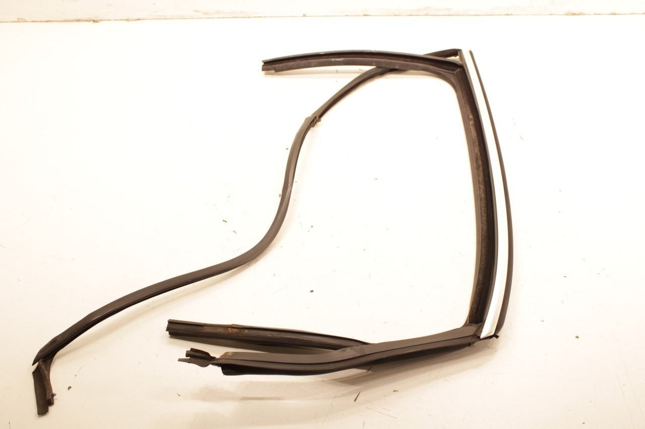 2012-19 Volkswagen Passat SE Rear Left Door Window Run Channel 561-839-431-Q-VNH - Alshned Auto Parts