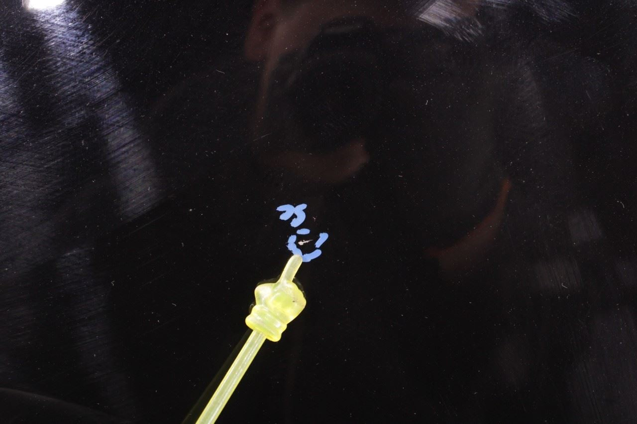 2018-24 Ford Expedition MAX XLT Front Left Side Fender Panel JL1Z-16006-A *ReaD* - Alshned Auto Parts