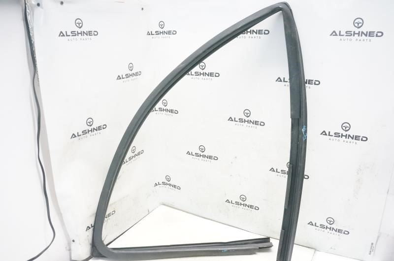 2015-2020 Ford F150 Front Left Door Window Glass Run Channel FL3Z-1521597-B OEM - Alshned Auto Parts