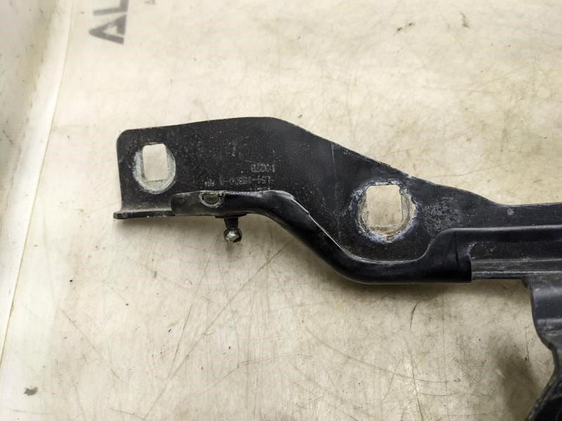 2015-2020 Ford F150 Left & Right Hood Hinge Pair FL34-16800-A OEM - Alshned Auto Parts
