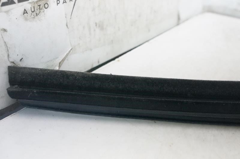 2015-2020 Ford F150 Front Right Door Window Belt Weatherstrip FL3Z-1521456-A OEM - Alshned Auto Parts