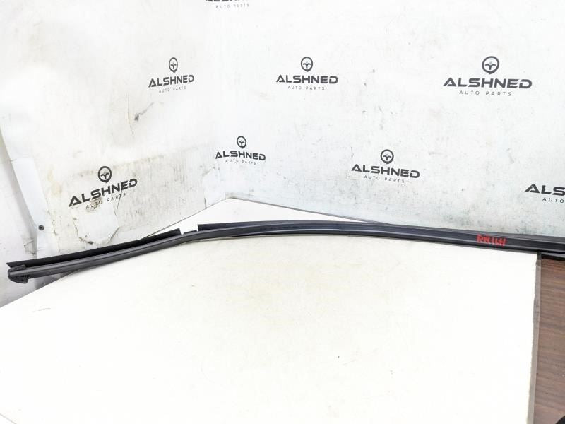 2017-2020 Hyundai Elantra Rear Left Door Inner Belt Weatherstrip 83231-F2000 OEM - Alshned Auto Parts