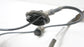 2016 Mazda CX-3 Rear Left Speed ABS Sensor D10K-43-71Y OEM *ReaD* - Alshned Auto Parts