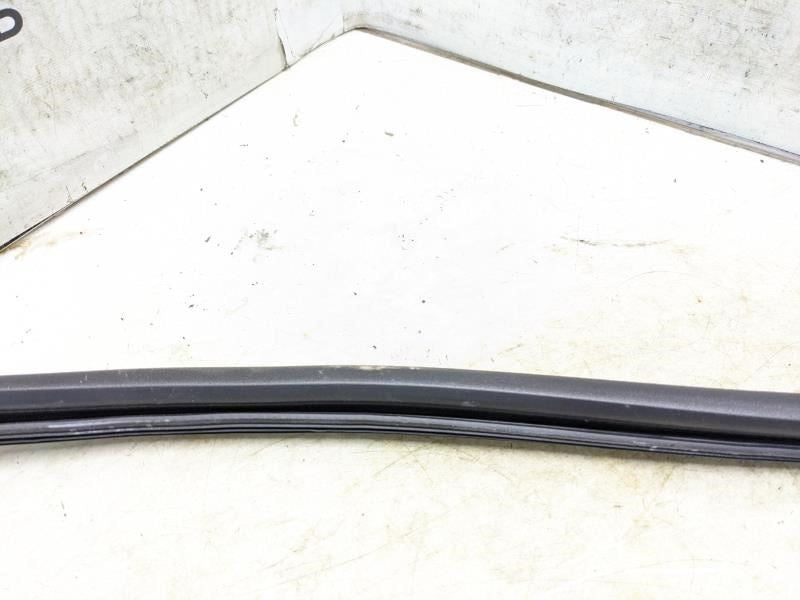 2018-23 Audi S5 Sportback Rear Right Door Inner Window Slot Seal 8W8-839-480 OEM - Alshned Auto Parts