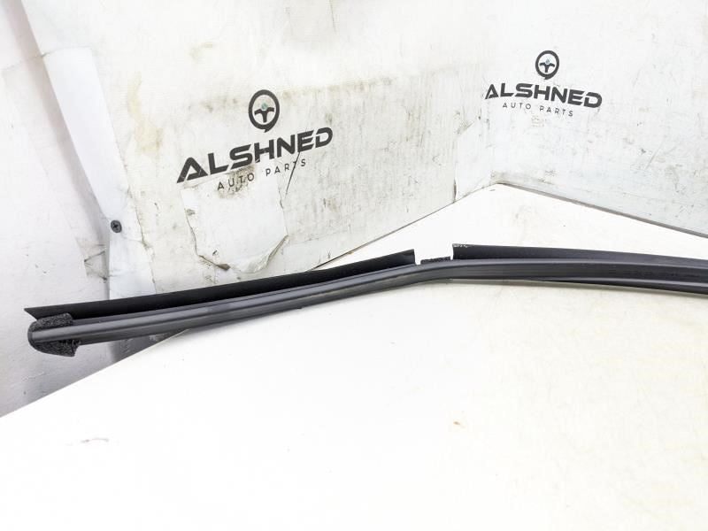 2017-2020 Hyundai Elantra Rear Left Door Inner Belt Weatherstrip 83231-F2000 OEM - Alshned Auto Parts