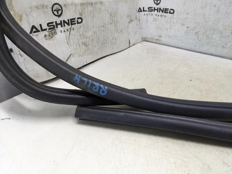 2011-2018 Ram 1500 Rear Left Door Opening Weatherstrip Seal 55112355AC OEM - Alshned Auto Parts