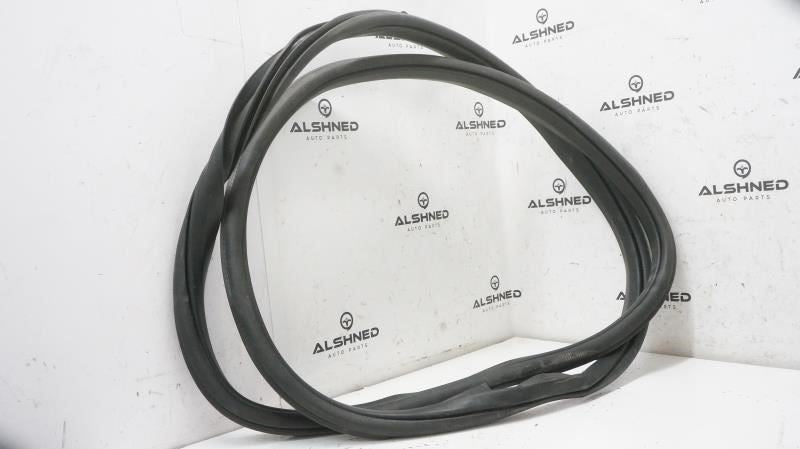 2020 Ford F150 Driver Left Rear Door Seal Weatherstrip KL3Z-16253A11-A OEM - Alshned Auto Parts