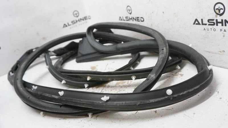 2019 Ford F150 Passenger Right Front Door Glass Weatherstrip FL34-1520530-A OEM - Alshned Auto Parts